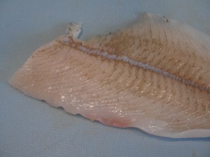 P1060051